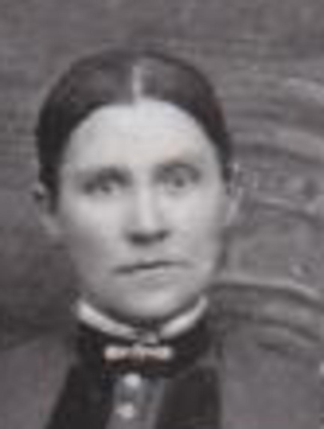 Ellen Fox Harper (1857 - 1930) Profile